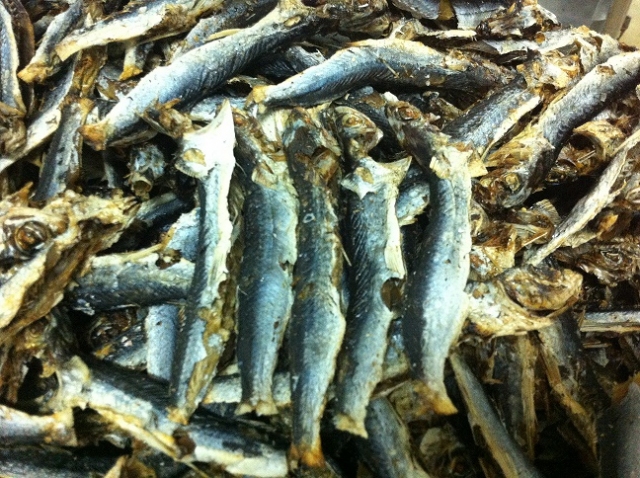 Roasted dried tobiuo