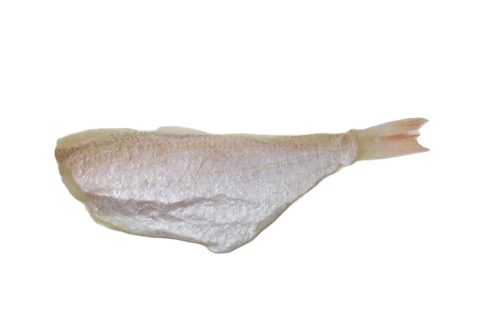 Sản phẩm khác